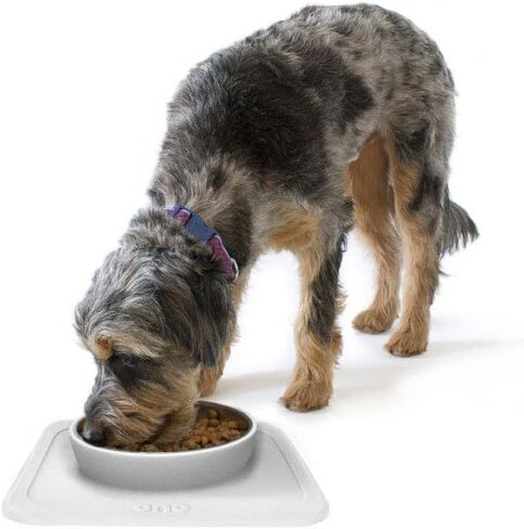 Ono Great Bowl Food & Water Single Feeder - Medium to Large Pets No Spill Non Skid Silicone Mat & Stainless Steel Bowl for Dogs or Cats (Cool Gray) in Saudi Arabia