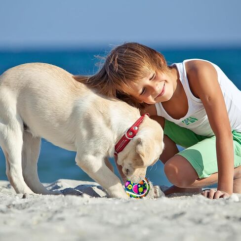 36 Pcs Summer Dog Tennis Balls 2.5 Inches Toy Ball for Small Medium Large Dogs Durable Teething Chew Toys for Aggressive Dogs Exercise Training Catching, 3 Styles in Saudi Arabia