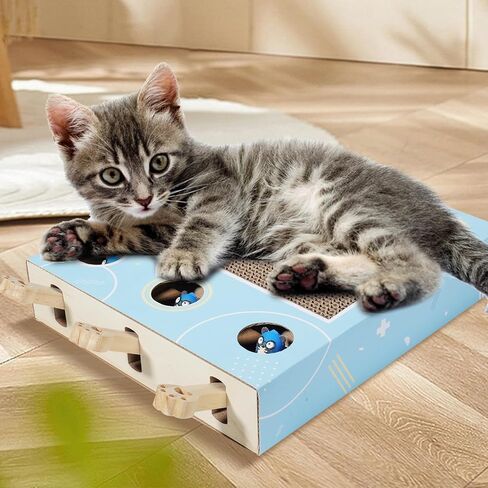 لعبة Whack A Mole Cat، خدش القطط، لوح خدش القطط 3 في 1، ألعاب القطط للقطط البالغة في الأماكن المغلقة التي تشعر بالملل، لعبة القطط التفاعلية، لعبة القطط مع وسادة خدش، عجلات القطط للقطط الداخلية in Saudi Arabia