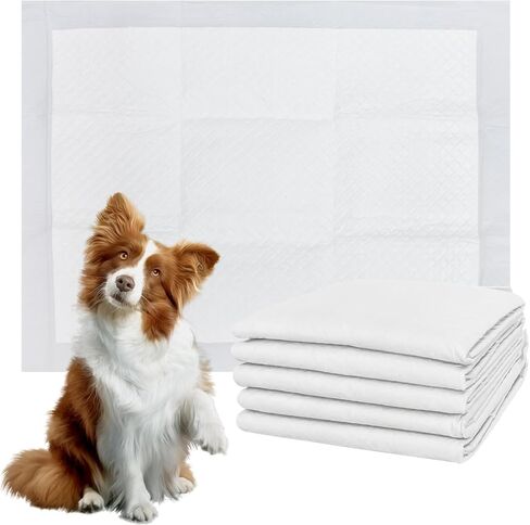 وسادات داخلية للاستعمال مرة واحدة بتصميم مقاوم للتسرب وسريع الجفاف لعلاج سلس البول، وسادات ماصة وغير قابلة للتسرب للكلاب والجراء للتدريب على استخدام المرحاض، عدد 5 وسادات حماية منزلية مقاس 24 × 24 بوصة - باللون الأبيض in Kuwait