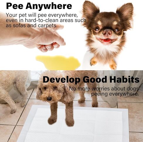 وسادات داخلية للاستعمال مرة واحدة بتصميم مقاوم للتسرب وسريع الجفاف لعلاج سلس البول، وسادات ماصة وغير قابلة للتسرب للكلاب والجراء للتدريب على استخدام المرحاض، عدد 5 وسادات حماية منزلية مقاس 24 × 24 بوصة - باللون الأبيض in Kuwait