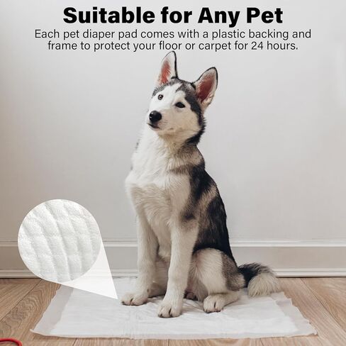وسادات داخلية للاستعمال مرة واحدة بتصميم مقاوم للتسرب وسريع الجفاف لعلاج سلس البول، وسادات ماصة وغير قابلة للتسرب للكلاب والجراء للتدريب على استخدام المرحاض، عدد 5 وسادات حماية منزلية مقاس 24 × 24 بوصة - باللون الأبيض in Kuwait