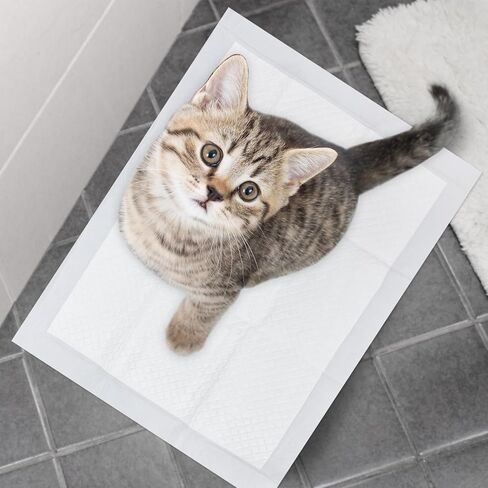 وسادات داخلية للاستعمال مرة واحدة بتصميم مقاوم للتسرب وسريع الجفاف لعلاج سلس البول، وسادات ماصة وغير قابلة للتسرب للكلاب والجراء للتدريب على استخدام المرحاض، عدد 5 وسادات حماية منزلية مقاس 24 × 24 بوصة - باللون الأبيض in Kuwait