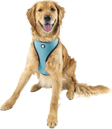Furhaven Adjustable Padded Mesh Dog Harness - Lagoon Blue, Extra Large in Saudi Arabia