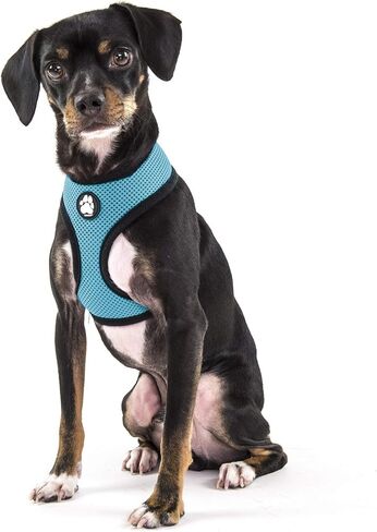 Furhaven Adjustable Padded Mesh Dog Harness - Lagoon Blue, Extra Large in Saudi Arabia