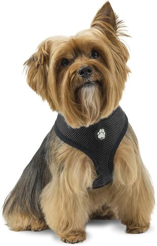 Furhaven Adjustable Padded Mesh Dog Harness - Lagoon Blue, Extra Large in Saudi Arabia