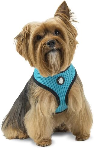 Furhaven Adjustable Padded Mesh Dog Harness - Lagoon Blue, Extra Large in Saudi Arabia