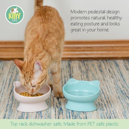 Kitty City Raised Cat Food Bowl Collection/Stress Free Pet Feeder and Waterer and Slow Feed Bowls in Saudi Arabia