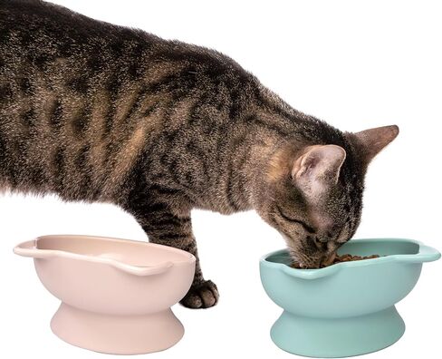 Kitty City Raised Cat Food Bowl Collection/Stress Free Pet Feeder and Waterer and Slow Feed Bowls in Saudi Arabia