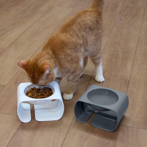 Kitty City Raised Cat Food Bowl Collection/Stress Free Pet Feeder and Waterer and Slow Feed Bowls in Saudi Arabia