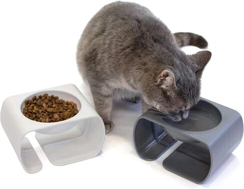 Kitty City Raised Cat Food Bowl Collection/Stress Free Pet Feeder and Waterer and Slow Feed Bowls in Saudi Arabia