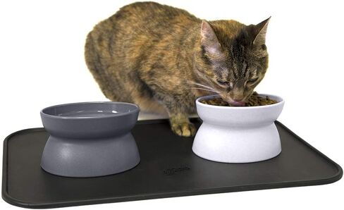 Kitty City Raised Cat Food Bowl Collection/Stress Free Pet Feeder and Waterer and Slow Feed Bowls in Saudi Arabia