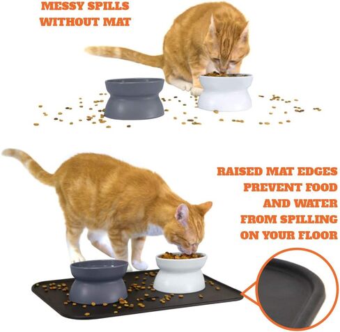Kitty City Raised Cat Food Bowl Collection/Stress Free Pet Feeder and Waterer and Slow Feed Bowls in Saudi Arabia