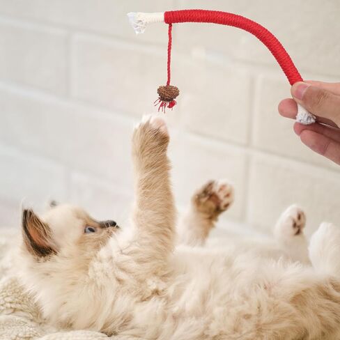 Giantree 4 Pcs Cat Chew Toy for Teeth Cleaning, 27.56" Cat Catnip Rope Toys for Indoor Cats Toys Chew Ropes Interactive Cat Nip Kitty Toys for All Breeds (Solid Color, Rope) in Saudi Arabia
