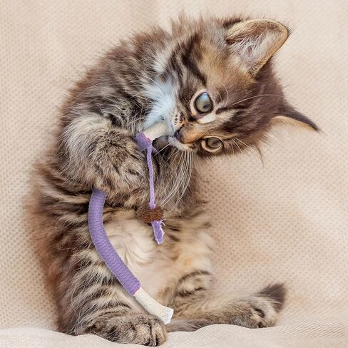 Giantree 4 Pcs Cat Chew Toy for Teeth Cleaning, 27.56" Cat Catnip Rope Toys for Indoor Cats Toys Chew Ropes Interactive Cat Nip Kitty Toys for All Breeds (Solid Color, Rope) in Saudi Arabia