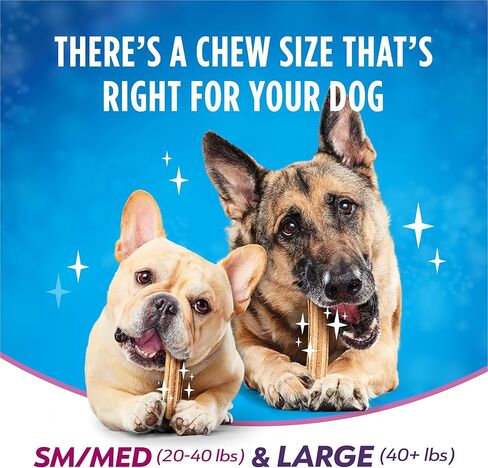 Dentalife Purina Plus Digestive Support Chicken and Pumpkin Flavor Small/Medium Dog Dental Chews - 6 oz. Pouch in Saudi Arabia