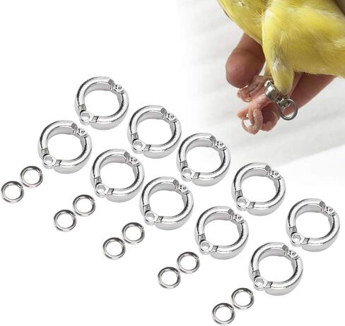 Pssopp 10Pcs Bird Foot Rings Metal Leg Outdoor Fly Training Activity Opening Clip Accessories for Small Medium Large Birds Training(#6) in Saudi Arabia