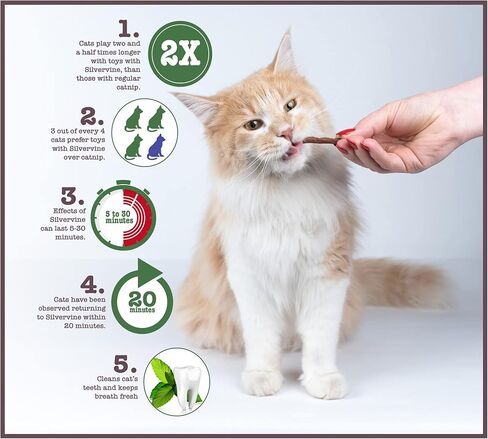 Penn-Plax Cat-Life Natural 5-Piece Toy Bundle for Cats – Contains Silvervine and Compressed Catnip – 2 Wands, 1 Pack of Silvervine Sticks, and 2 Birdies in Saudi Arabia