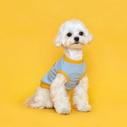 FLOT Designer Dog Sleeveless T-Shirt Premium Materials Tailored Fit Stripe Trendy Designed and Made in Korea (Mint/Yellow) XX-Large in Saudi Arabia