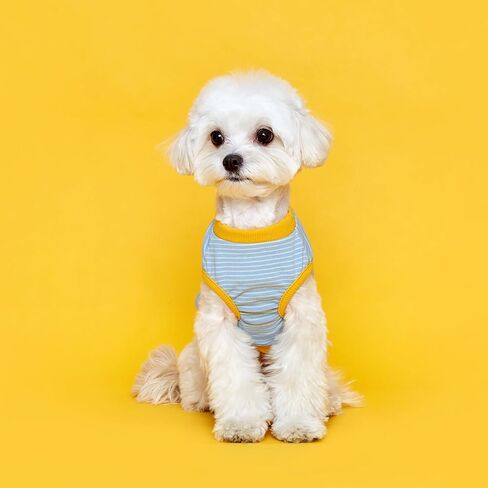 FLOT Designer Dog Sleeveless T-Shirt Premium Materials Tailored Fit Stripe Trendy Designed and Made in Korea (Mint/Yellow) XX-Large in Saudi Arabia
