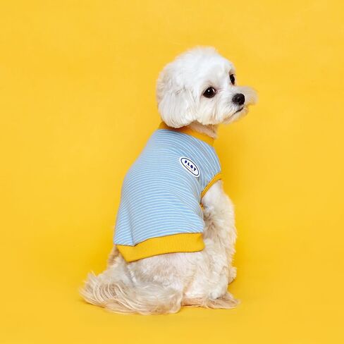 FLOT Designer Dog Sleeveless T-Shirt Premium Materials Tailored Fit Stripe Trendy Designed and Made in Korea (Mint/Yellow) XX-Large in Saudi Arabia