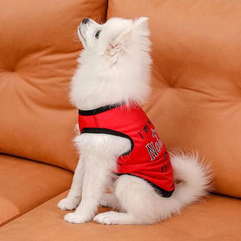Dog Shirts Pet Printed Clothes with Funny Letters Summer Pet T Shirts Cool Puppy Shirts Breathable Dog Outfit Soft Dog Sweatshirt for Pet Dogs Cats (Large, Pattern-2) in Saudi Arabia
