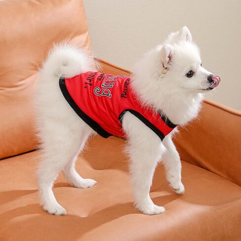 Dog Shirts Pet Printed Clothes with Funny Letters Summer Pet T Shirts Cool Puppy Shirts Breathable Dog Outfit Soft Dog Sweatshirt for Pet Dogs Cats (Large, Pattern-2) in Saudi Arabia