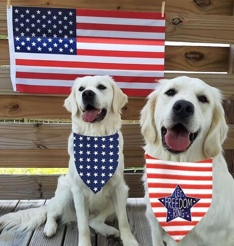 4Th of July Dog Bandanas, Reversible Dual-Layer Patriotic Theme Design 2 Pack, Let Freedom Ring Independence Day Square Dog Kerchief, American Flag Pet Scarf Dogs Gifts (01) in Kuwait