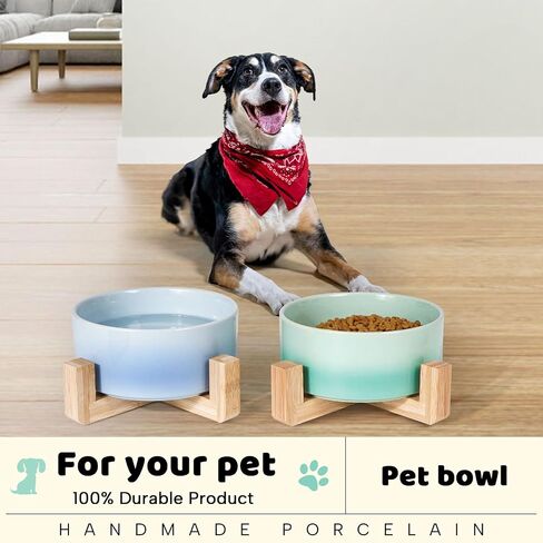 Artisan Ceramic Dog and Cat Bowl with Stand ,Pet Bowl for Food and Water, Cute Dog Bowl for Small, Medium Dogs and Cats (Blue, Single Bowl) in Saudi Arabia