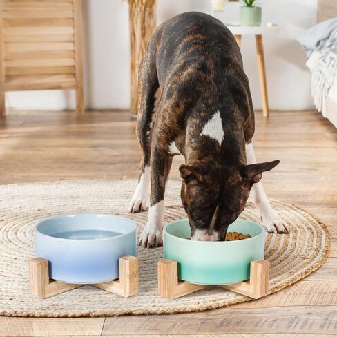 Artisan Ceramic Dog and Cat Bowl with Stand ,Pet Bowl for Food and Water, Cute Dog Bowl for Small, Medium Dogs and Cats (Blue, Single Bowl) in Saudi Arabia