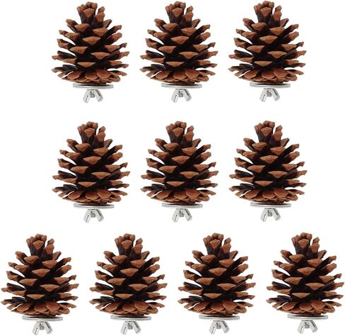 Zyyini Pinecone Chewing Bird Toy Nut Fix Bird Bite Pinecone Safe Bite Resistant for Parakeets and Parakeets in Saudi Arabia