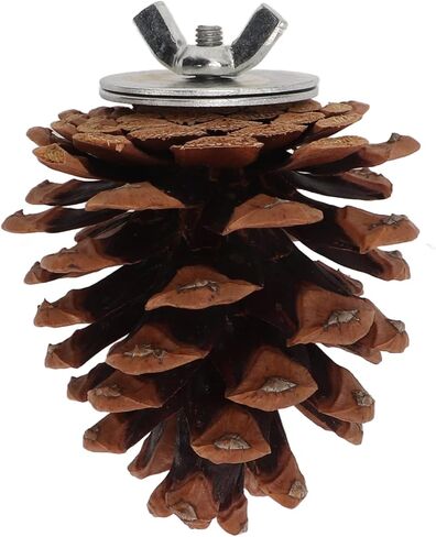 Zyyini Pinecone Chewing Bird Toy Nut Fix Bird Bite Pinecone Safe Bite Resistant for Parakeets and Parakeets in Saudi Arabia