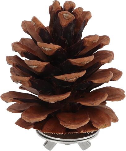 Zyyini Pinecone Chewing Bird Toy Nut Fix Bird Bite Pinecone Safe Bite Resistant for Parakeets and Parakeets in Saudi Arabia