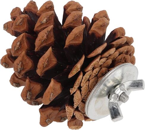 Zyyini Pinecone Chewing Bird Toy Nut Fix Bird Bite Pinecone Safe Bite Resistant for Parakeets and Parakeets in Saudi Arabia