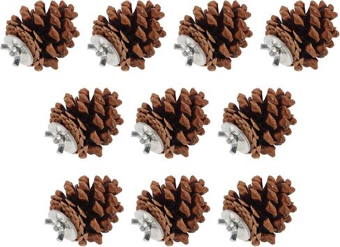 Zyyini Pinecone Chewing Bird Toy Nut Fix Bird Bite Pinecone Safe Bite Resistant for Parakeets and Parakeets in Saudi Arabia