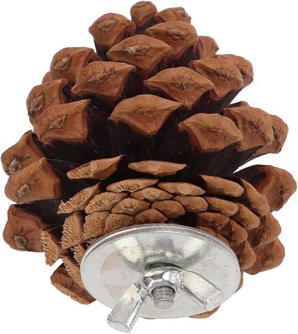 Zyyini Pinecone Chewing Bird Toy Nut Fix Bird Bite Pinecone Safe Bite Resistant for Parakeets and Parakeets in Saudi Arabia
