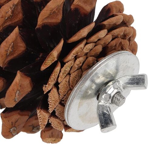 Zyyini Pinecone Chewing Bird Toy Nut Fix Bird Bite Pinecone Safe Bite Resistant for Parakeets and Parakeets in Saudi Arabia