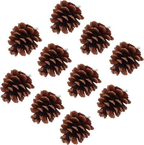 Zyyini Pinecone Chewing Bird Toy Nut Fix Bird Bite Pinecone Safe Bite Resistant for Parakeets and Parakeets in Saudi Arabia