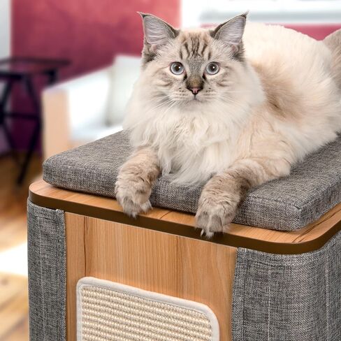 Catit Vesper Cat Tree, Cubo Cat Tower Stone, 52094 in Saudi Arabia