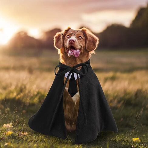 Pet Cape Costume with Pet Neckties and Glasses, Pet Halloween Costumes for Cats Set Black Green Pet Cloak Pet Costume Accessories for Halloween Cosplay Party Photo Props (S) in Saudi Arabia