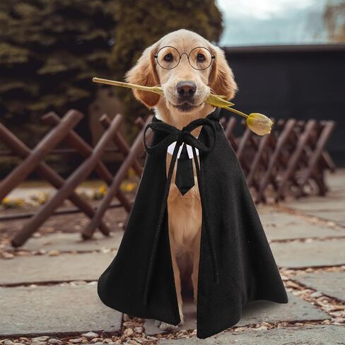 Pet Cape Costume with Pet Neckties and Glasses, Pet Halloween Costumes for Cats Set Black Green Pet Cloak Pet Costume Accessories for Halloween Cosplay Party Photo Props (S) in Saudi Arabia