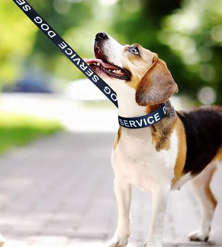 MayPaw 4FT Service Dog Leash, 1" and 1.25" Wide Nylon Dog Leash with Comfortable Neoprene Handle, Great for Medium to Extra-Large Dogs (4ft x 1", black) in Saudi Arabia