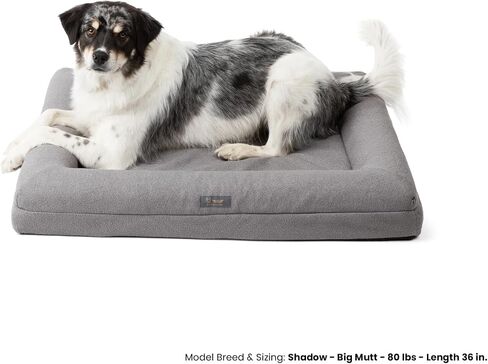 NANDOG Pet Gear Memory Foam Dog Bed - Orthopedic Plush Cushion for Comfortable Sleeping, Washable Cover - Ideal for Dogs with Joint Pain, Arthritis (Grey, Large) in Saudi Arabia