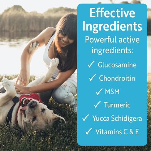 DakPets Glucosamine Chondroitin, MSM, Hip & Joint Supplement for Dogs, Organic Turmeric Soft Chews, Supports Healthy Joint Function and Helps with Pain Relief 120-Count in Saudi Arabia