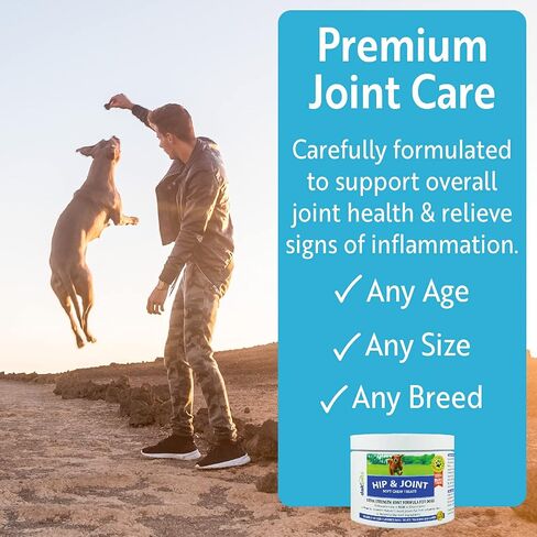 DakPets Glucosamine Chondroitin, MSM, Hip & Joint Supplement for Dogs, Organic Turmeric Soft Chews, Supports Healthy Joint Function and Helps with Pain Relief 120-Count in Saudi Arabia