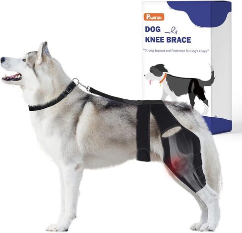 Dog Knee Brace for Torn ACL Hind Leg, Dog Leg Brace for Large and Small Dogs with Hip Dysplasia, CCL, Ligament Injuries or Osteoarthritis, Both Back and Front Legs，X-Large in Kuwait