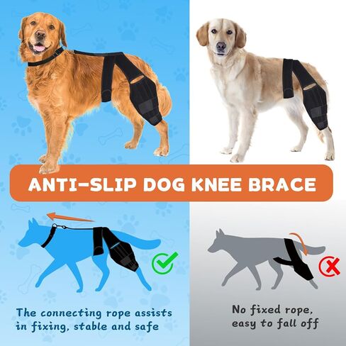 Dog Knee Brace for Torn ACL Hind Leg, Dog Leg Brace for Large and Small Dogs with Hip Dysplasia, CCL, Ligament Injuries or Osteoarthritis, Both Back and Front Legs，X-Large in Kuwait