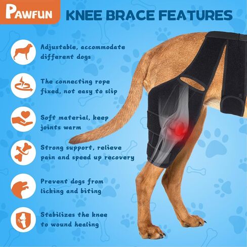 Dog Knee Brace for Torn ACL Hind Leg, Dog Leg Brace for Large and Small Dogs with Hip Dysplasia, CCL, Ligament Injuries or Osteoarthritis, Both Back and Front Legs，X-Large in Kuwait