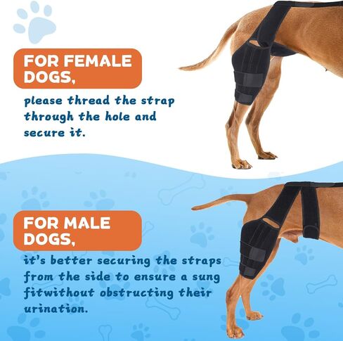 Dog Knee Brace for Torn ACL Hind Leg, Dog Leg Brace for Large and Small Dogs with Hip Dysplasia, CCL, Ligament Injuries or Osteoarthritis, Both Back and Front Legs，X-Large in Kuwait