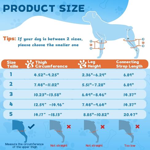 Dog Knee Brace for Torn ACL Hind Leg, Dog Leg Brace for Large and Small Dogs with Hip Dysplasia, CCL, Ligament Injuries or Osteoarthritis, Both Back and Front Legs，X-Large in Kuwait